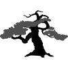 Bonsai silhouette