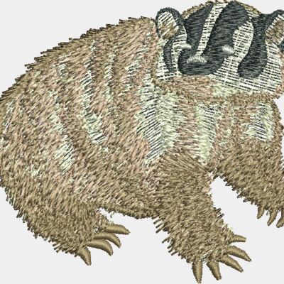 Badger Thumbnail
