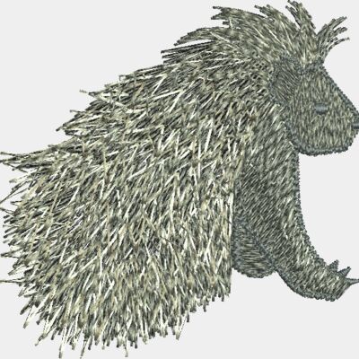 Porcupine Thumbnail