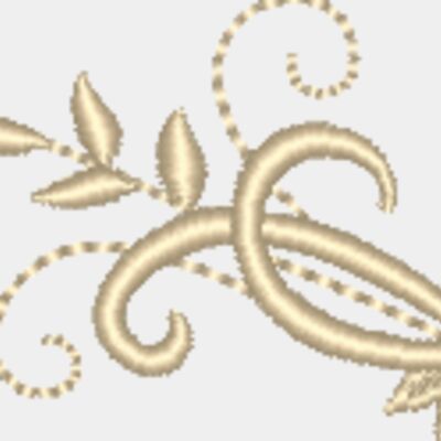 Maple Leaves Thumbnail